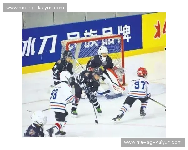 冰球引援新风潮：打造巅峰战队的秘密武器